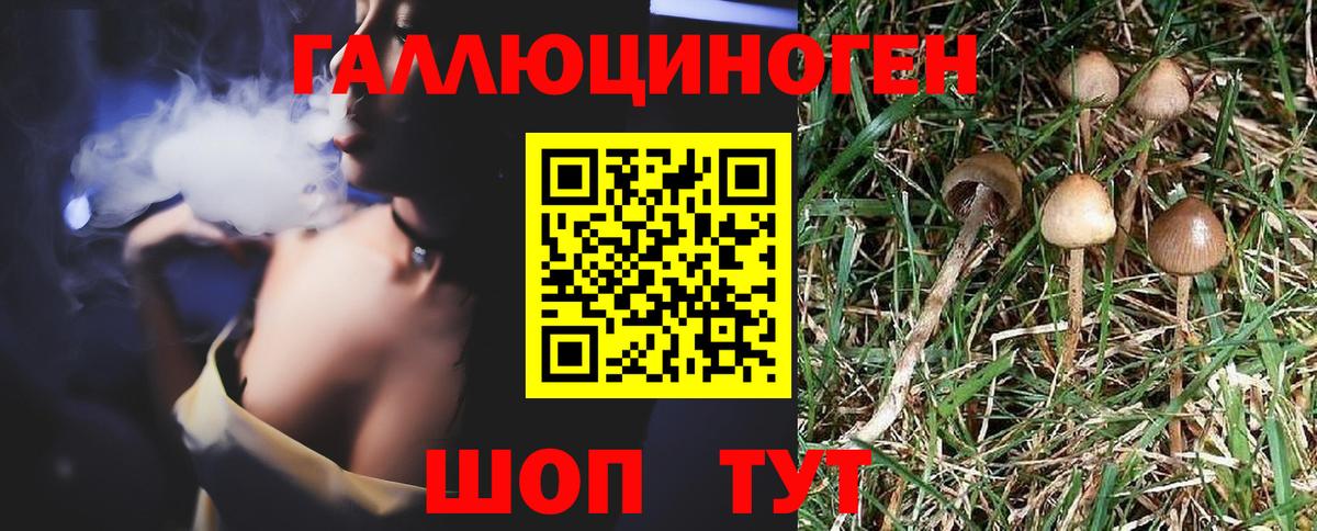 Псилоцибиновые грибы Psilocybine cubensis  Галлюциногенные грибы Magic Shrooms  Кубинка  Вход с VPN 